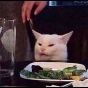 Meet your Posher, Courtney